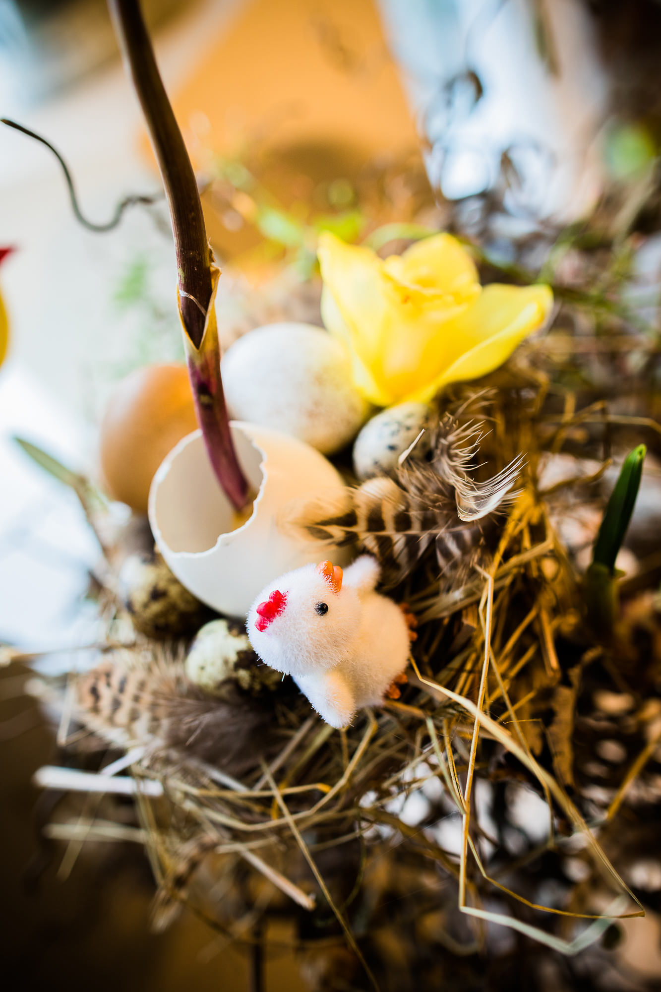 Export x3 5D4 9440 Businessauftrag 2017 Blattform Aarau